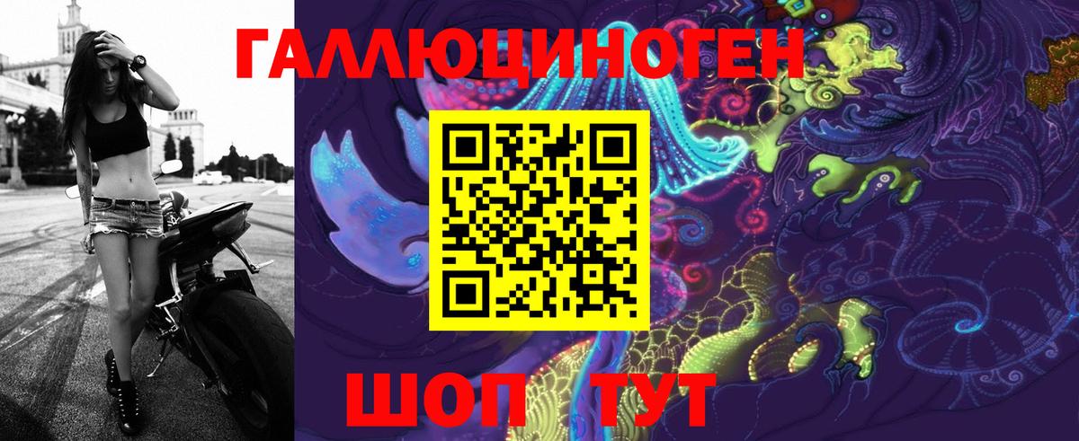 Канаш  Галлюциногенные грибы Psilocybine cubensis  Вход с VPN 